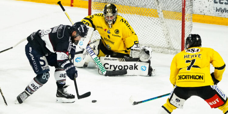 Hockey sur glace : Angers-Rouen, un choc au sommet