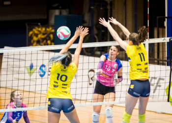 Volley : Objectif Coupe d’Europe pour Nantes