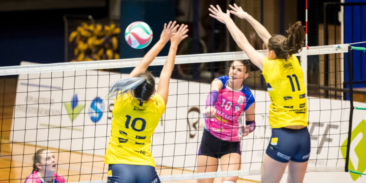 Volley : Objectif Coupe d’Europe pour Nantes