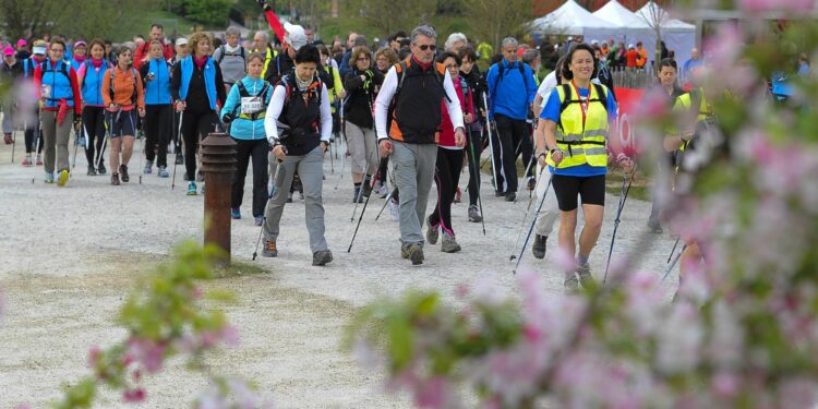 Running : Le Trail’Oween s’invite à la fête