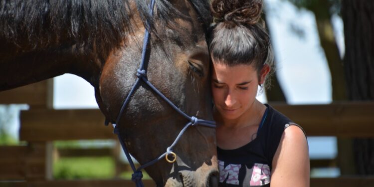 Le cheval pour aider les femmes victimes de violences