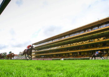 Journée de ramassage des déchets au Domaine de Longchamp