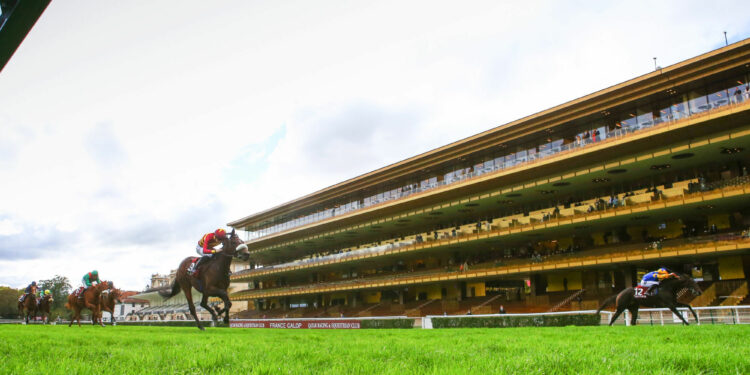 Journée de ramassage des déchets au Domaine de Longchamp