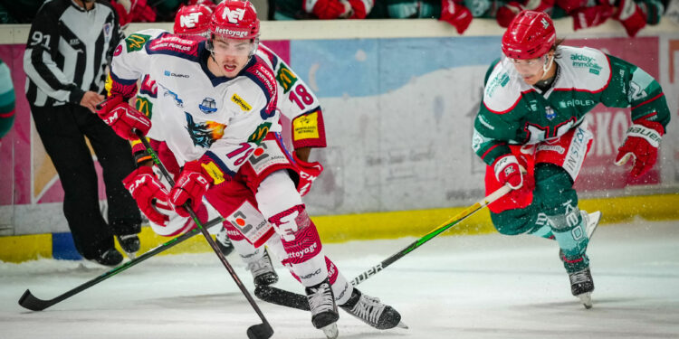 Hockey sur glace : Anglet veut créer la surprise