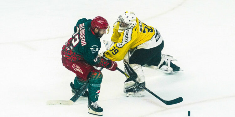 Hockey sur glace : Les Jokers veulent relancer la machine