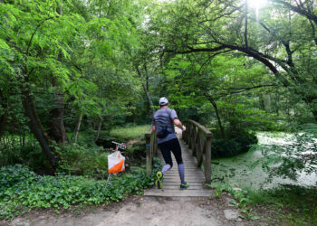 Course d’orientation : Les STAPS en mode nocturne