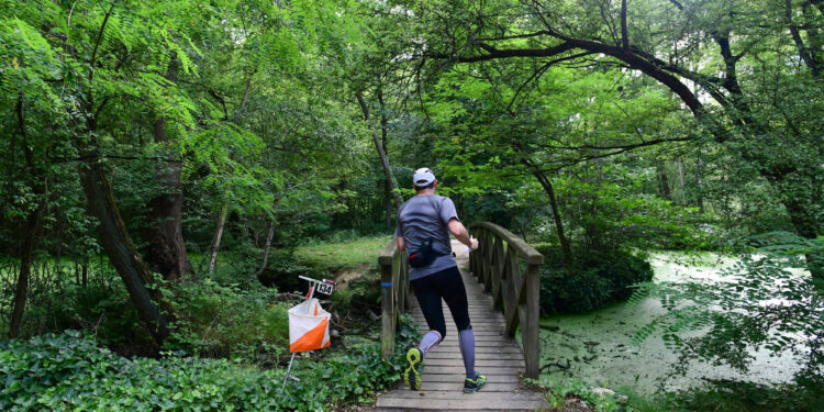 Course d’orientation : Les STAPS en mode nocturne