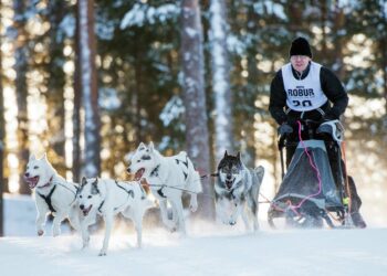20 ans pour les Snowkite Masters à Serre Chevalier