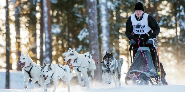 20 ans pour les Snowkite Masters à Serre Chevalier