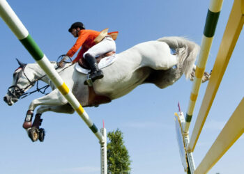 Paris 2024 : Le centre équestre de Royan au galop