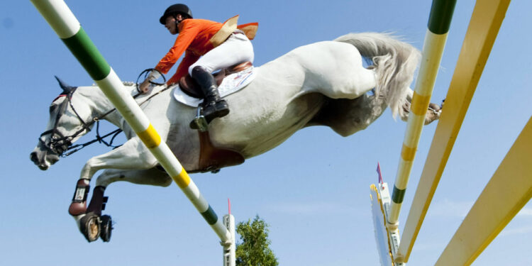 Paris 2024 : Le centre équestre de Royan au galop