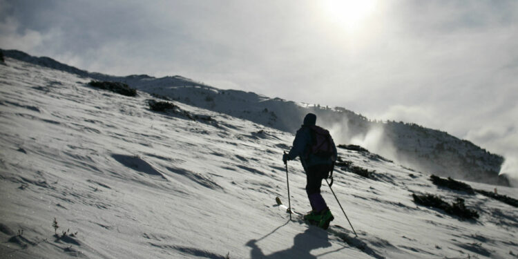 Charles Dubouloz : « Pour le grand public, c’est impalpable, c’est hors du temps »