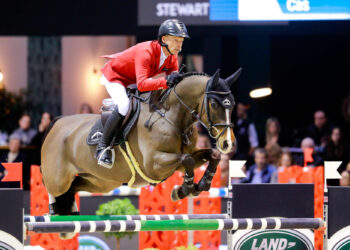 Le Jumping de Bordeaux prêt pour ses 50 ans