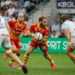 Rugby : Le bonus européen pour Perpignan