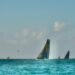 Voile : Clap de fin pour la Route du Rhum 2022