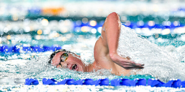 Natation : L’argent et le record de France pour Damien Joly