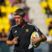 Rugby : Ronan O’Gara reste aux manettes du Stade Rochelais