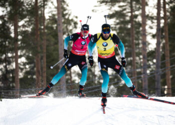 Sylvain Baert : « Fournir des outils pour gérer au mieux ses fluctuations mentales »