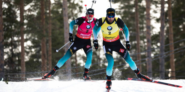 Sylvain Baert : « Fournir des outils pour gérer au mieux ses fluctuations mentales »