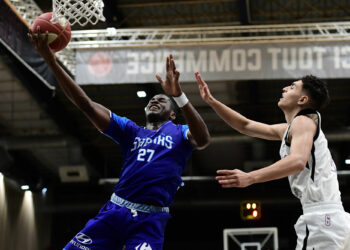Basket : Les Sharks d’Antibes, leaders en chasse