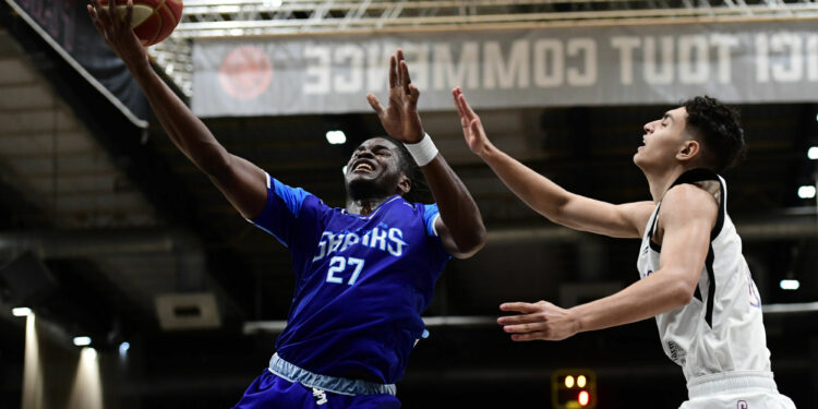 Basket : Les Sharks d’Antibes, leaders en chasse