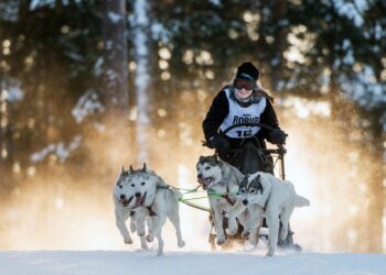 Direction Villard-de-Lans pour la Grande Odyssée VVF