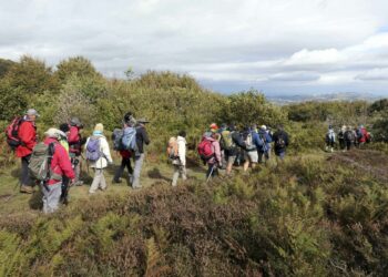 Randonnée : La NordicWalkin’Puy Saint Vincent, santé et nature