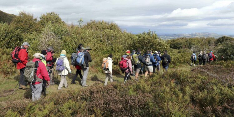 Randonnée : La NordicWalkin’Puy Saint Vincent, santé et nature