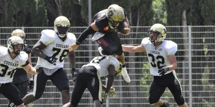 Football Américain : Les Grizzlys Catalans ont de l’appétit