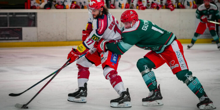 Hockey sur glace : Bordeaux-Anglet, derby du Sud-Ouest endiablé