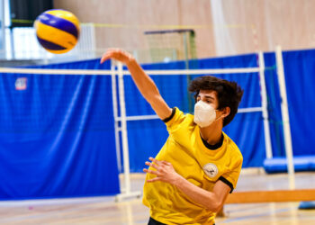 Basket : La gestion des clubs féminins en cause