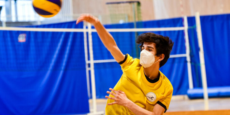 Basket : La gestion des clubs féminins en cause