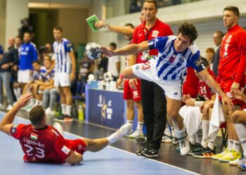 Handball : Succès au rendez-vous à Châtellerault