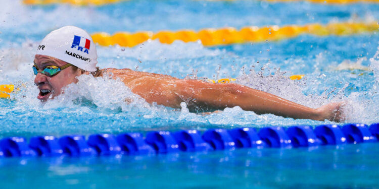 Natation : Le Giant Open va se jeter à l’eau