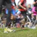 Trail : Le trèfle à quatre feuilles se court !