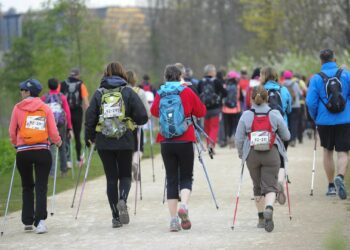 Trail : Le Roc’Trail, de jour ou de nuit