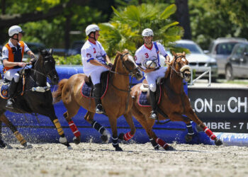 Equitation : Année 2023 remplie pour le Haras de Jardy