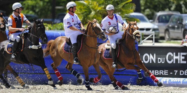 Equitation : Année 2023 remplie pour le Haras de Jardy