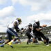 Football Américain : Nouveaux défis pour les Blacks Panthers de Thonon
