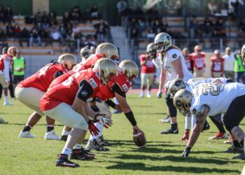 Le championnat Elite, réservoir essentiel