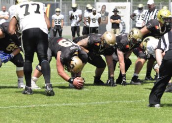 Football Américain : Perpignan – Toulouse, le choc du Sud