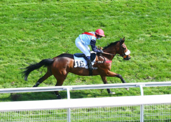 Équitation : Clap de fin pour Nathalie Desoutter