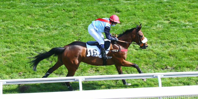 Équitation : Clap de fin pour Nathalie Desoutter