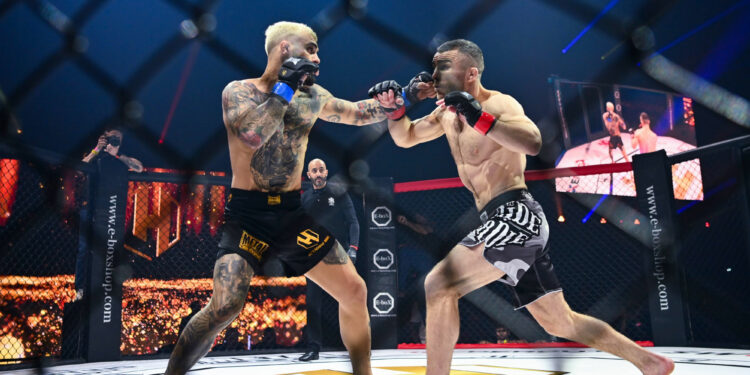 MMA : L’HEXAGONE MMA s’installe à Beaumont-sur-Oise