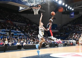 Basket : Les Bleus en stage à Pau en juillet 
