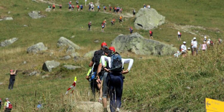 Le trail des Châtaigniers repart de plus belle