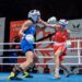 Boxe : Pas de finale mondiale pour Amina Zidani