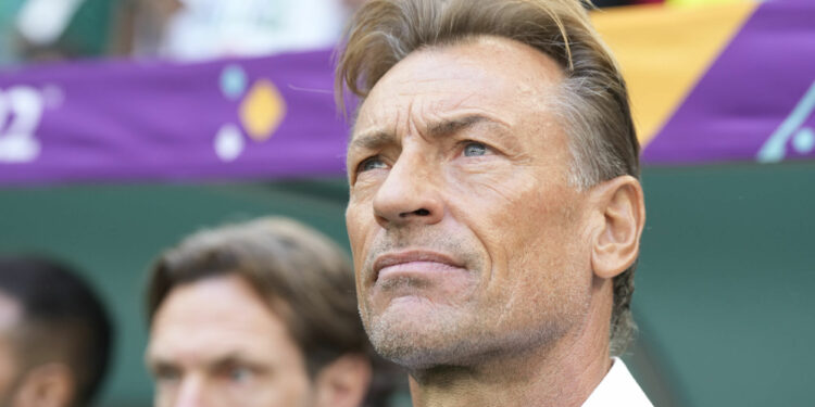 Football : Hervé Renard nouveau sélectionneur des Bleues