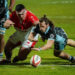 Rugby : Massy veut retrouver des couleurs