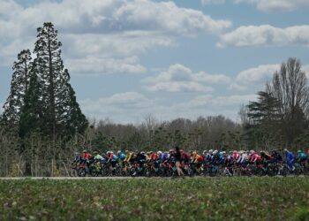 Cyclisme : Nicola Marcerou vainqueur du Tour des 4B 